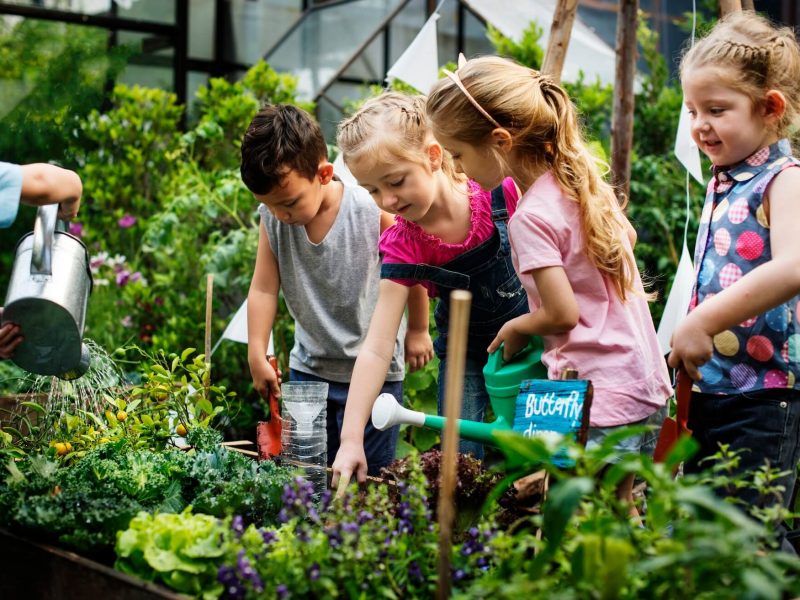 group-of-kindergarten-kids-learning-gardening-outdoors-1